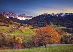 Włochy, Dolina Val di Funes, Wieś Santa Maddalena, Góry, Dolomity, Lasy, Drzewa, Jesień, Domy, Kościół