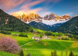 Włochy, Dolina, Val di Funes, Wieś, Santa Maddalena, Góry, Dolomity, Lasy, Drzewa, Domy, Kościół, Okwiecone, Drzewo, Wiosna