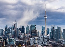 Wieżowce i wieża CN Tower w Toronto