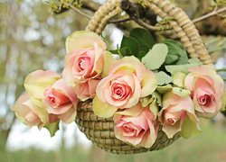 Wiklinowy koszyk z różami na gałęzi