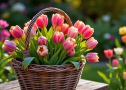Wiklinowy koszyk z różowymi tulipanami na stole