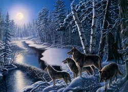 Wilki nad rzeką w lesie
