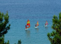 Morze, Windsurfing, Drzewa