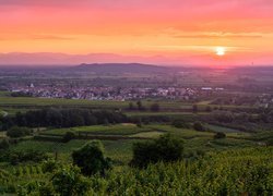 Winnice na wzgórzach o zachodzie słońca