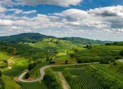 Góry Kaiserstuhl, Pola, Winnice, Drogi, Punkt widokowy Texaspass, Miejscowość Vogtsburg im Kaiserstuhl, Badenia-Wirtembergia, Niemcy