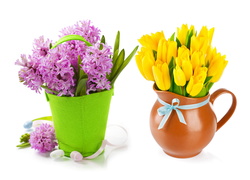 Wiosenne bukiety tulipanów i hiacyntów w dzbanku i wiaderku
