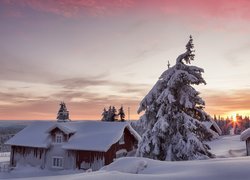 Norwegia, Gmina Lillehammer, Zima, Zachód słońca, Domy, Ośnieżone, Drzewa