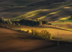 Wiosna na wzgórzach w Morawach Południowych