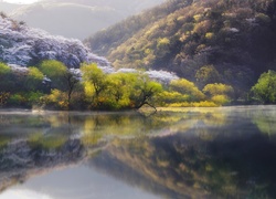 Wiosna nad koreańskim jeziorem