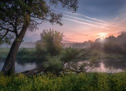 Wiosna nad rzeką Istrą