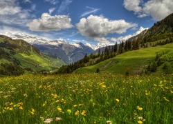 Wiosna w dolinie Surselva w Szwajcarii