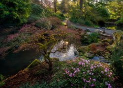 Ogród, Park, Ścieżka, Wiosna, Strumyk, Kubota Garden, Seattle, Stan Waszyngton, Stany Zjednoczone