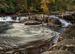 Drzewa, Wir, Skały, Uskok, Rzeka, Youghiogheny River, Maryland, Stany Zjednoczone