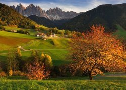 Góry, Dolomity, Wieś, Santa Maddalena, Kościół, Domy, Dolina Val di Funes, Drzewa, Jesień, Włochy