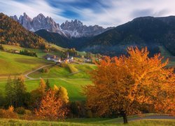 Góry, Dolomity, Wieś, Santa Maddalena, Dolina Val di Funes, Jesienne, Drzewa, Lasy, Jesień, Domy, Droga, Włochy