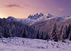 Włochy, Dolomity, Zachód Słońca, Góry, Zima, Las, Drzewa