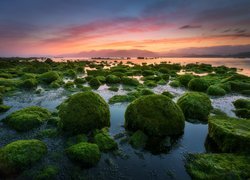 Kaikoura, Wyspa Południowa, Nowa Zelandia, Brzeg, Morze, Kamienie, Wodorosty, Zachód Słońca