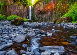 Wodospad Abiqua Falls, Skały, Rzeka, Drzewa, Kamienie, Stan Oregon, Stany Zjednoczone