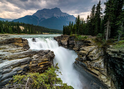 Wodospad Athabasca na rzece Athabasca w Parku Narodowym Jasper w Kanadzie