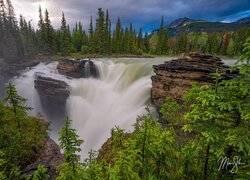 Kanada, Prowincja Alberta, Park Narodowy Jasper, Góry, Drzewa, Świerki, Wodospad Athabasca, Skały