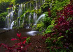 Wodospad Banyu Wana Amertha Falls na Bali