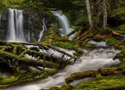 Wodospad Big Spring Creek Falls