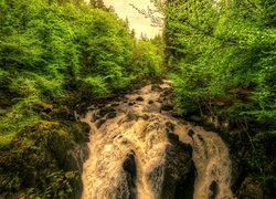 Las, Drzewa, Wodospad, Black Linn Falls, Rzeka Braan, Szkocja