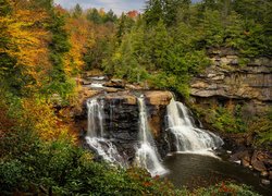 Wodospad Blackwater Falls na skale w Wirginii Zachodniej