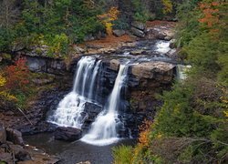 Stany Zjednoczone, Stan Wirginia Zachodnia, Park stanowy Blackwater Falls, Jesień, Drzewa, Las, Skały, Wodospad Blackwater Falls