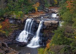 Wodospad Blackwater Falls na skale