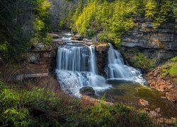 Park stanowy Blackwater Falls, Rzeka Blackwater, Wodospad, Blackwater Falls, Skały, Drzewa, Las, Wirginia Zachodnia, Stany Zjednoczone