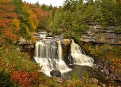 Stany Zjednoczone, Stan Wirginia Zachodnia, Park stanowy Blackwater Falls, Jesień, Las, Skały, Wodospad Blackwater Falls