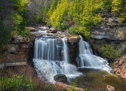 Skały, Rzeka, Wodospad Blackwater Falls, Drzewa, Kamienie, Park stanowy Blackwater, Stan Wirginia Zachodnia, Stany Zjednoczone