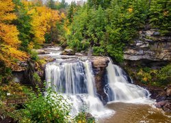 Wodospad Blackwater Falls, Rzeka Blackwater, Skały, Drzewa, Las, Jesień, Park stanowy Blackwater, Stan Wirginia Zachodnia, Stany Zjednoczone