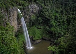 Wodospad Bridal Veil Falls, Las, Skała, Region Waikato, Wyspa Północna, Nowa Zelandia