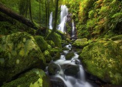 Australia, Queensland, Wodospad, Chalahn Falls, Park Narodowy Lamington, Las, Głazy, Omszałe, Kamienie