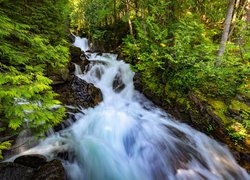 Wodospad Deception Falls, Skały, Las, Drzewa, Miejscowość Skykomish, Stan Waszyngton, Stany Zjednoczone