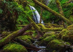 Wodospad Dry Creek Falls