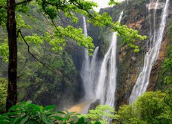 Wodospad Dźog w indyjskim stanie Karnataka
