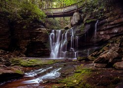 Wodospad, Elekala Falls, Park stanowy, Blackwater Falls State, Most, Las, Drzewa, Omszałe, Skały, Kamienie, Wirginia Zachodnia, Stany Zjednoczone