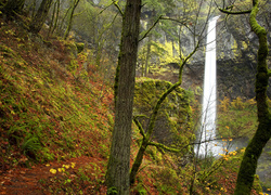 Stany Zjednoczone, Stan Oregon, Jesień, Las, Wodospad Elowah Falls