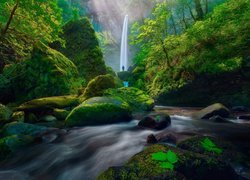 Wodospad Elowah Falls w parku stanowym John B. Yeon State Park