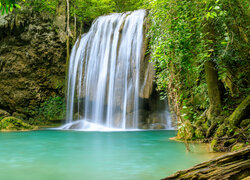 Wodospad, Erawan Waterfall, Drzewo, Korzenie, Rośliny, Park Narodowy Erawan, Prowincja Kanchanaburi, Tajlandia