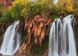 Stany Zjednoczone, Arizona, Wodospad, Fifty Foot Falls, Roślinność