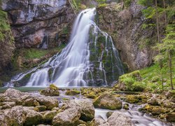 Las, Wodospad Gollinger, Rzeka, Kamienie, Omszałe, Drzewa, Powiat Hallein, Austria