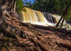 Drzewo, Korzenie, Wodospad, Gooseberry Falls, Most, Park stanowy Gooseberry Falls, Minesota, Stany Zjednoczone