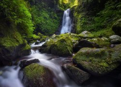 Wodospad Gwongurai Falls i omszone kamienie przy rzece Toolona Creek