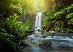 Wodospad Hopetoun Falls, Park Narodowy Great Otway, Stan Wiktoria, Australia, Rzeka Aire, Las, Paprocie