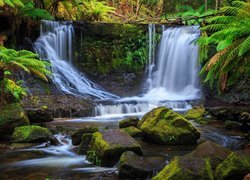 Wodospad Horseshoe Falls w Parku Narodowym Mount Field