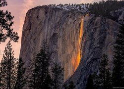 Wodospad, Horsetail Fall, Yosemite Firefall, Skalista, Góra, Drzewa, Park Narodowy Yosemite, Kalifornia, Stany Zjednoczone